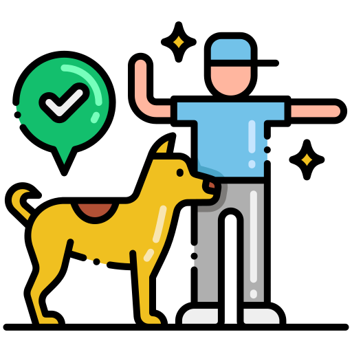 Dog Walker & Trainer